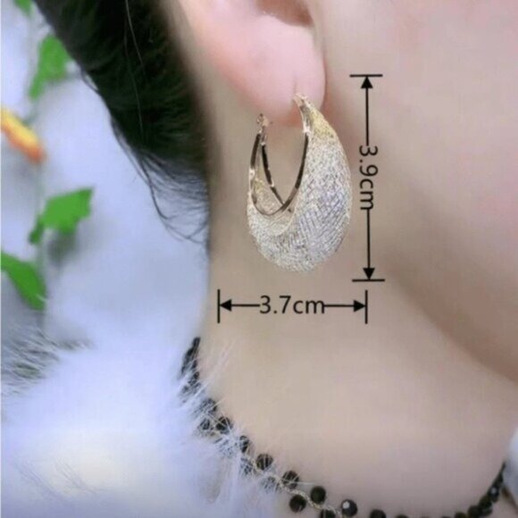 Elegant Gold and Silver Hoop Earrings - Picture 2 of 2